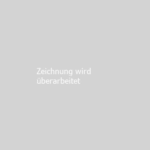 Absturzsicherung Flachdach Barrial fix Innenseite Fuss Ae